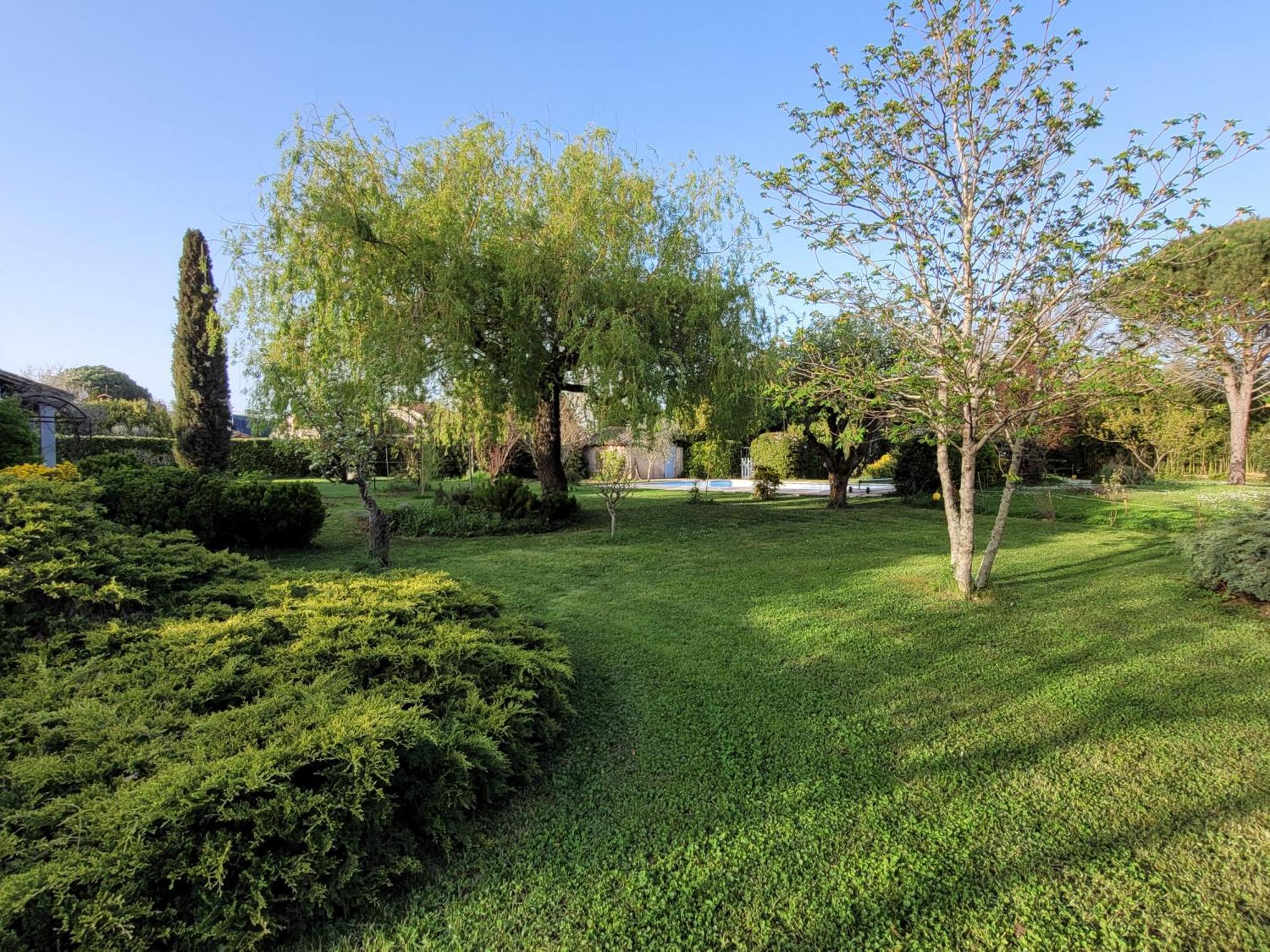La Vieille Ferme De Gaillac Eksteriør billede